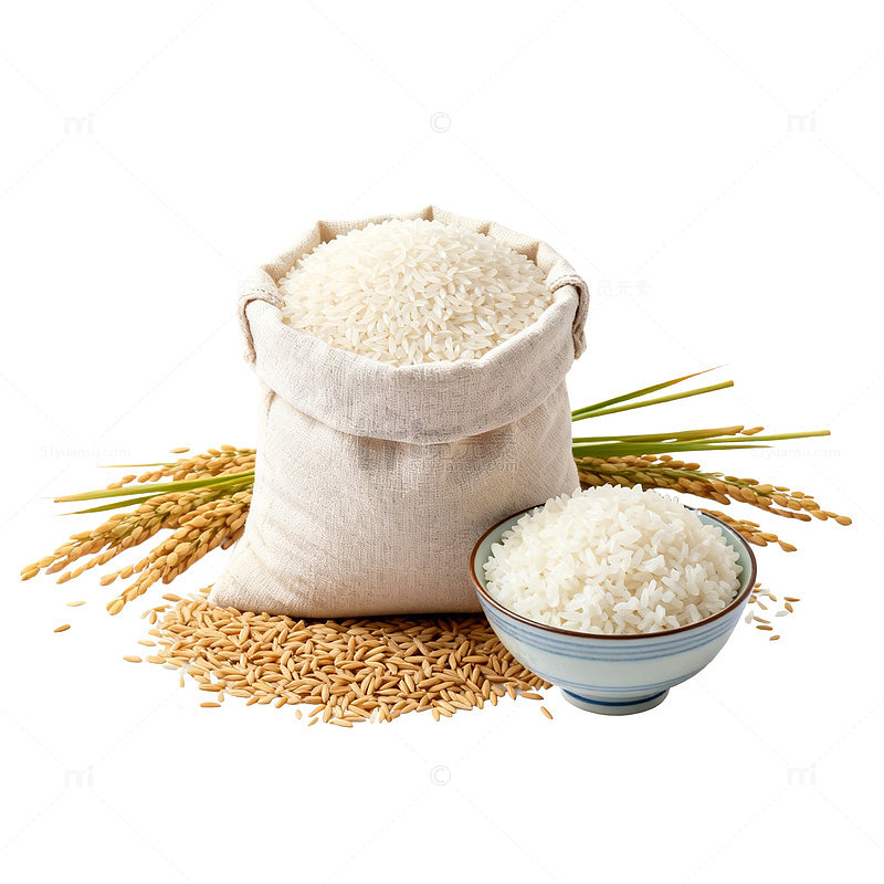 简约大米食品素材