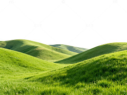 翠绿山丘自然风光