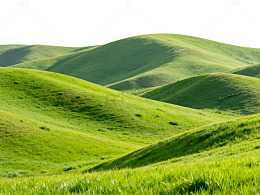 绿色山丘风光