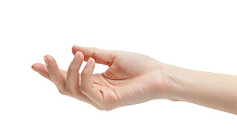 白底背景下的人类手部特写