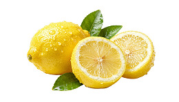 新鲜柠檬切片带绿叶图片