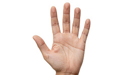 手掌张开展示图片