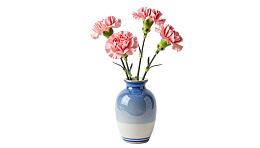 蓝色花瓶插粉色康乃馨