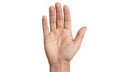 手掌特写展示手部细节