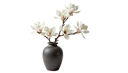 黑陶花瓶插白玉兰花图片