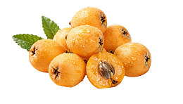 新鲜枇杷果实带绿叶图片