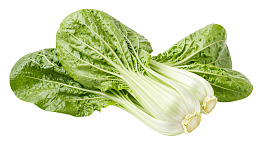新鲜小白菜特写图片