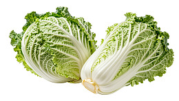 两颗新鲜白菜并排摆放