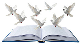 书页飞出白鸽象征自由与知识