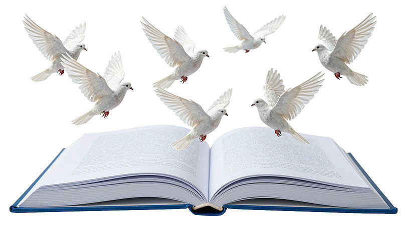 书页飞出白鸽象征自由与知识