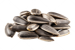 葵花籽特写摄影图