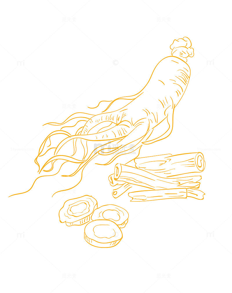 人参黄芪桂皮中药材手绘线稿图