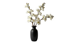 黑色花瓶插着白色花朵