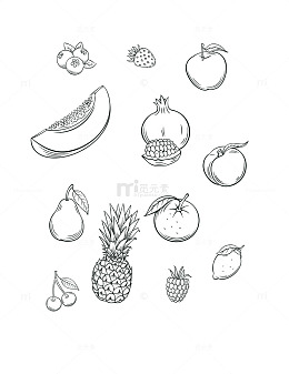 水果线稿手绘矢量图
