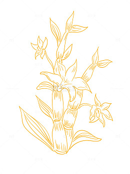铁皮石斛手绘烫金线稿矢量图