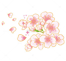 樱花节手绘元素线稿图上色