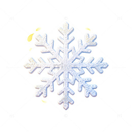 精致雪花图案冬季装饰设计素材