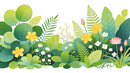 插画风热带雨林植物插画素材