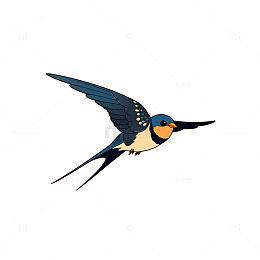 翱翔天际的蓝色奇迹