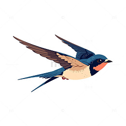 翱翔天际的蓝羽精灵