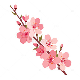 粉色桃花盛开如梦似幻