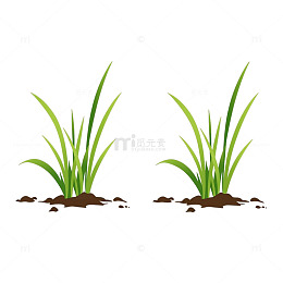 春日萌芽的翠绿奇迹