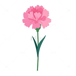 柔美花海中的粉色奇迹