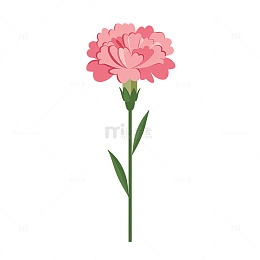 粉色康乃馨梦幻花海