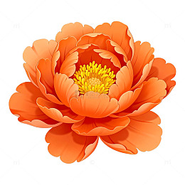 卡通风格橙色花朵插画