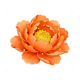 牡丹花艺术插画