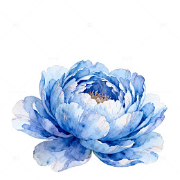 蓝色牡丹水彩花卉图案