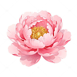 芍药花矢量图案插画