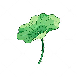 卡通荷叶插画素材