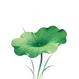 水墨风荷叶插画设计素材