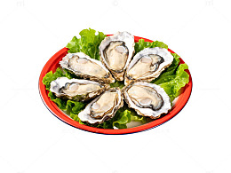 生蚝盘美食展示