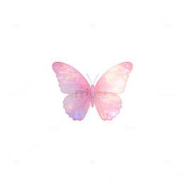 梦幻粉色蝴蝶插画素材