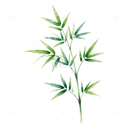 水彩竹叶清新装饰素材