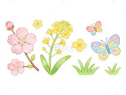 水彩花卉蝴蝶插画设计素材