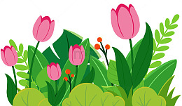 扁平风粉色郁金香花丛装饰插画