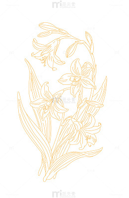 玉簪花玉兰花手绘线稿矢量图