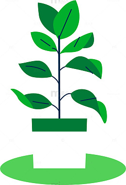 简约风盆栽植物插画