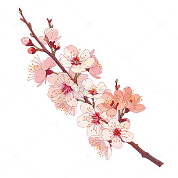 春日繁花似锦绽放奇迹