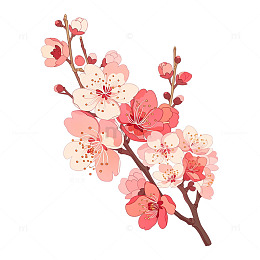 春日繁花似锦如梦