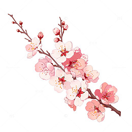 粉色春日繁花绽放