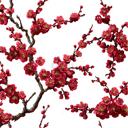 绽放于春风中的梅花奇迹