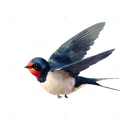 彩翼飞扬的晨曦精灵