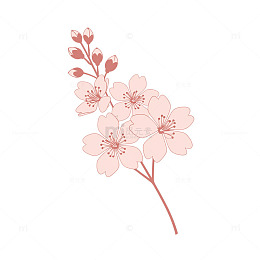 樱花盛开梦幻繁花海