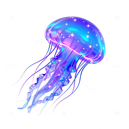 梦幻水母插画
