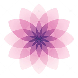 梦幻几何花卉的奇幻交织