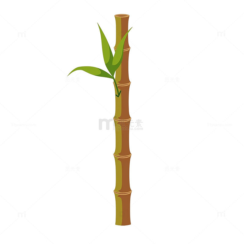 竹林深处的翠绿奇迹